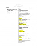 TEORIA DE PROCESOS DE LOS MCI