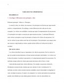 Etica Profesional. Diferencia principal - Valores vs. Principios