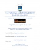Caracteristicas de la arquitectura porfirista en Oaxaca
