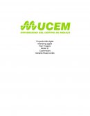 Marketing digital CIRCULO DORADO