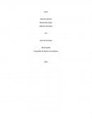 Taller 10° Ciencias Sociales