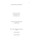 Concepción Cognitiva de la Categorización