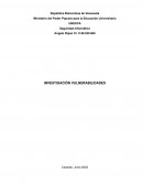 Investigacion de Vulnerabilidades de sistemas