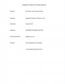 INFORME DE PRATICAS PRE PROFESIONALES