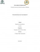 Descripción del proceso de espermiogénesis