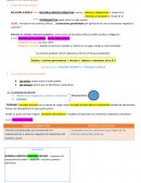 Capítulo 4: la relación jurídica