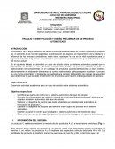 IDENTIFICACIÓN Y DISEÑO PRELIMINAR DE UN PROCESO AUTOMATIZADO