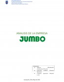 ANALISIS DE LA EMPRESA Jumbo