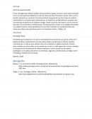 Carl Jung Teoría de la personalidad