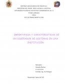 Importancia y características de un diseñador de sistemas en una institución