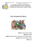 Tarea: Discapacidad en México