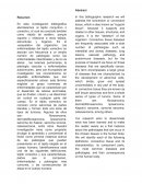 Cancer en tejido conectivo