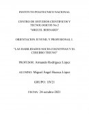 ORIENTACION JUVENIL Y PROFESIONAL I. “LAS HABILIDADES SOCIO-COGNITIVAS Y EL CEREBRO TRIUNO”