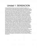 Las rsensaciones resumen visto en clase