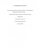 Pensamiento y comunicación. Análisis De Noticias Falsas