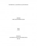 SEGUIMIENTO EN LA GESTION DEL TALENTO HUMANO