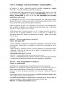 LAN DE PRACTICOS – FECHAS DE ENTREGAS - RECUPERATORIOS