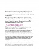 Metodos del pensamiento