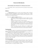 Proyecto rugby infantil