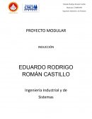 PROYECTO MODULAR INDUCCIÓN