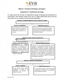 Principios del Riesgo y del Seguro. Página 1