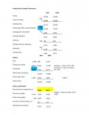 Proyección de Estados Financieros