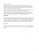 El bien humano en general