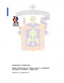 SEMINARIO DE SOLUCION DE PROBLEMAS DE ESTRUCTURAS DE DATOS I