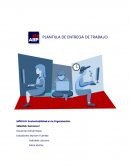 Sustentabilidad en la organización