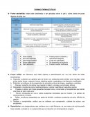 Vias y formas farmaceuticas