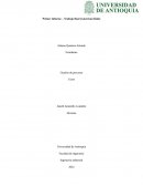 Primer informe – Trabajo final (American Kids)