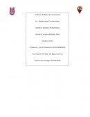 Revisión de Expectativas