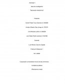 Idea de investigación “facturación electrónica”