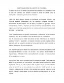 Despenalizacion del Aborto en Colombia