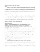 Estrategia corporativa de Agua Santa Martha S.A.