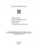 Informe laboratorio de biomoléculas