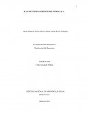 PLAN DE ENTRENANMIENTO DEL FÚBOL SALA