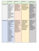 Identificación de las características y diferencias entre farmacocinética y farmacodinamia