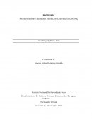 PROPUESTA PRODUCCION DE CACHAMA NEGRA (COLOSSOMA MACROPO)