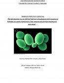 Rol del dominio rico en Q/N de Tpk2 en la localización de la enzima en P-bodies en estrés nutricional y fase estacionaria de Saccharomyces cerevisiae
