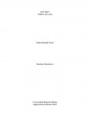 Análisis de casos. Sistemas Operativos