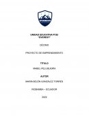 PROYECTO DE EMPRENDIMIENTO