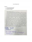 TALLER INTRODUCTORIO