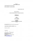 Modelo cuenta de cobro