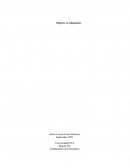 MUJERES EN AFGANISTÁN