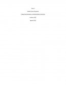 CAPACITACIÓN PARA LA PREVENCIÓN DE RIESGOS TAREA 3 IACC