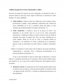 Análisis de gama de servicios relacionados a vinilos