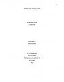 MODELO DE TRANSPORTE (INTEGRANTES)