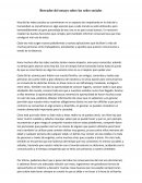 Borrador de Ensayo sobre las redes sociales