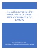 El desarrollo alcanzado en las técnicas de aislamiento e identificación de aromas
